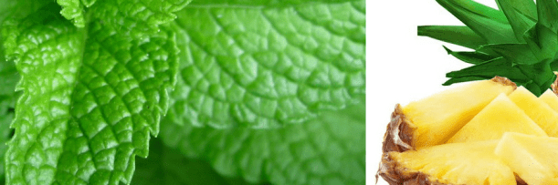 Pineapple and peppermint salad by Ria