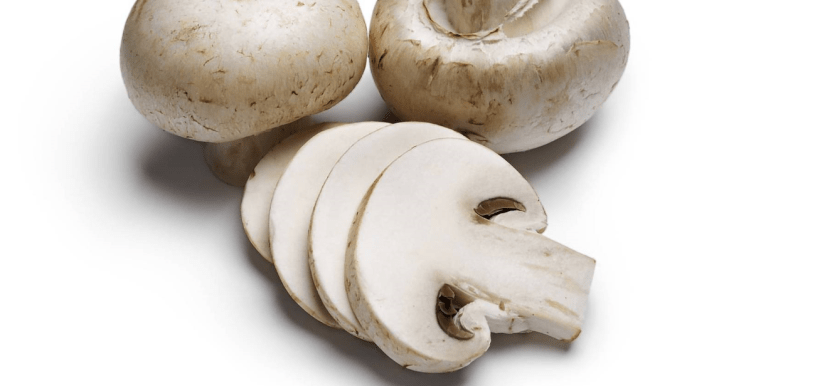 whiteMushrooms2